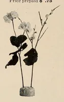 Picture 8 of 17 from Vantine's., leaf 40