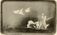 Picture 73 of 148 from Vantine's. (1915), leaf 22