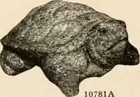 Picture 144 of 148 from Vantine's. (1915), leaf 46