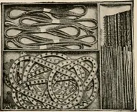 An illustration from Vantine's, the oriental store. (1919)