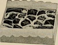 An illustration from Vantine's, the oriental store. (1919)