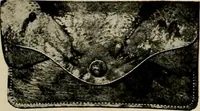 An illustration from Vantine's, the oriental store. (1919)