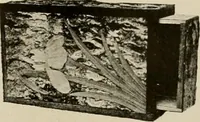 An illustration from Vantine's, the oriental store. (1919)