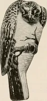 An illustration from Vantine's, the oriental store. (1919)