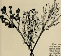 An illustration from Vantine's, the oriental store. (1919)