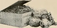 An illustration from Vantine's, the oriental store. (1919)