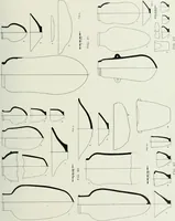 An illustration from Varia africana. I-5 (1917)