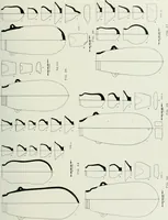 An illustration from Varia africana. I-5 (1917)