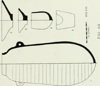 An illustration from Varia africana. I-5 (1917)
