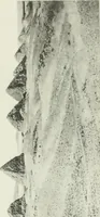 An illustration from Varia africana. I-5 (1917)