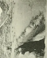 An illustration from Varia africana. I-5 (1917)