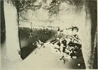 An illustration from Varia africana. I-5 (1917)