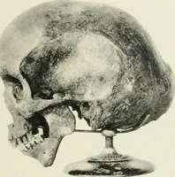 An illustration from Varia africana. I-5 (1917)