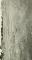 An illustration from Varia africana. I-5 (1917)