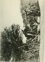 An illustration from Varia africana. I-5 (1917)