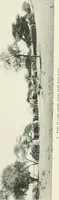 An illustration from Varia africana. I-5 (1917)