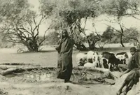 An illustration from Varia africana. I-5 (1917)