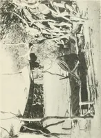 An illustration from Varia africana. I-5 (1917)