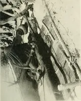 An illustration from Varia africana. I-5 (1917)