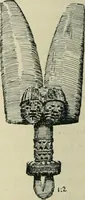 An illustration from Varia africana. I-5 (1917)