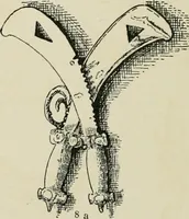 An illustration from Varia africana. I-5 (1917)