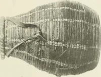 An illustration from Varia africana. I-5 (1917)