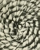 An illustration from Varia africana. I-5 (1917)