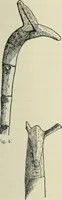 An illustration from Varia africana. I-5 (1917)