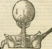 Picture 92 of 219 from Varia commensuracion para la escultura y arquitectura (1795), leaf 139