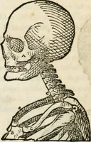Picture 93 of 219 from Varia commensuracion para la escultura y arquitectura (1795), leaf 139