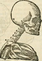An illustration from Varia commensuracion para la escultura y arquitectura (1795)