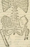An illustration from Varia commensuracion para la escultura y arquitectura (1795)