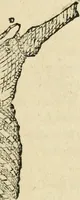An illustration from Varia commensuracion para la escultura y arquitectura (1795)