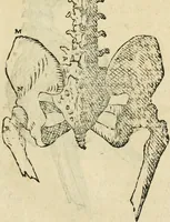 Picture 97 of 219 from Varia commensuracion para la escultura y arquitectura (1795), leaf 144