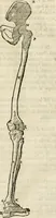 Picture 101 of 219 from Varia commensuracion para la escultura y arquitectura (1795), leaf 153