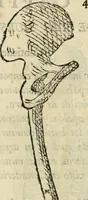 Picture 102 of 219 from Varia commensuracion para la escultura y arquitectura (1795), leaf 154