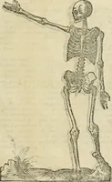 Picture 104 of 219 from Varia commensuracion para la escultura y arquitectura (1795), leaf 156