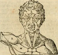 An illustration from Varia commensuracion para la escultura y arquitectura (1795)