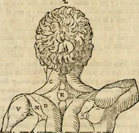 An illustration from Varia commensuracion para la escultura y arquitectura (1795)