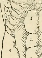 An illustration from Varia commensuracion para la escultura y arquitectura (1795)