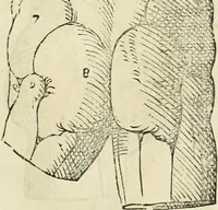An illustration from Varia commensuracion para la escultura y arquitectura (1795)