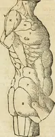 An illustration from Varia commensuracion para la escultura y arquitectura (1795)