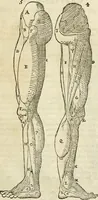 An illustration from Varia commensuracion para la escultura y arquitectura (1795)
