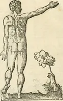 Picture 116 of 219 from Varia commensuracion para la escultura y arquitectura (1795), leaf 183