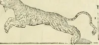An illustration from Varia commensuracion para la escultura y arquitectura (1795)