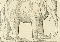 Picture 141 of 219 from Varia commensuracion para la escultura y arquitectura (1795), leaf 213