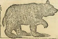 Picture 142 of 219 from Varia commensuracion para la escultura y arquitectura (1795), leaf 214