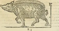 An illustration from Varia commensuracion para la escultura y arquitectura (1795)