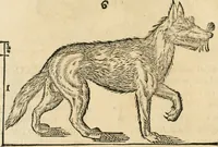 An illustration from Varia commensuracion para la escultura y arquitectura (1795)