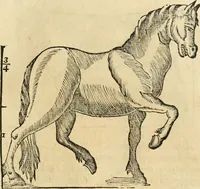 An illustration from Varia commensuracion para la escultura y arquitectura (1795)